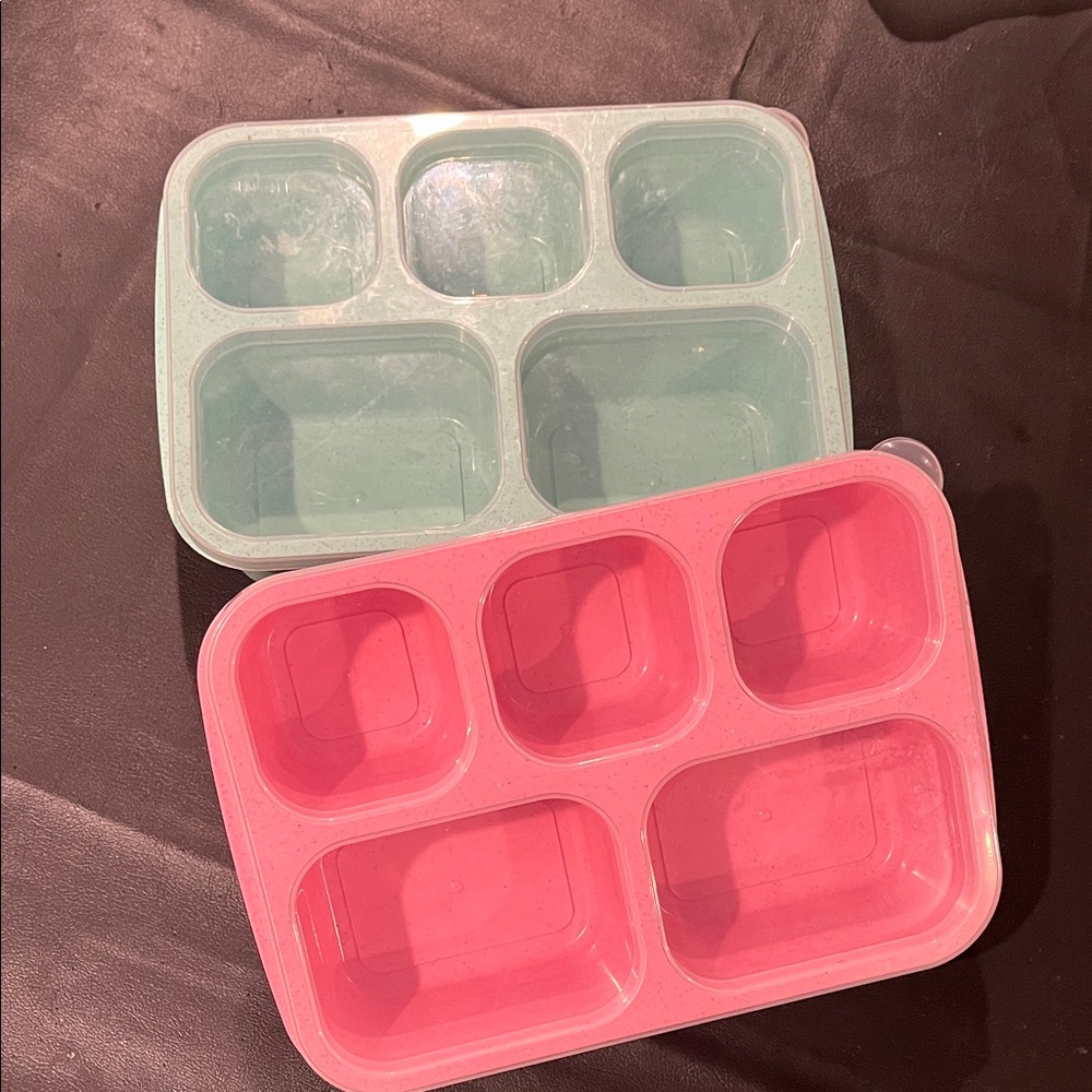 Bento boxes Pink and Green Food Storage Containers